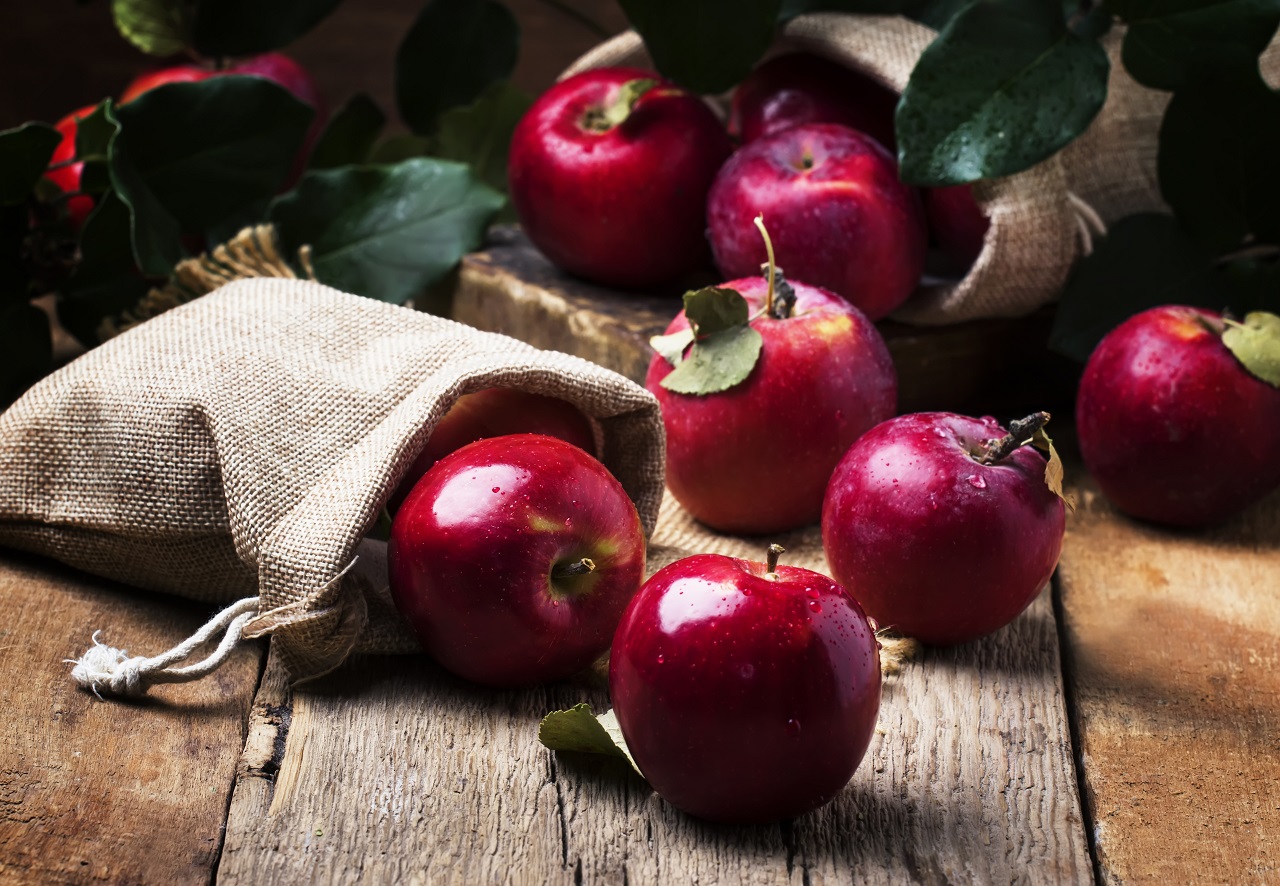 Kırmızı Elma: Kökleri Tarihe Uzanan Kırmızı Bir Miras, Bereketin, Sağlığın ve Kadim Bilgeliğin Kırmızı Elma ile Kutlanışı
