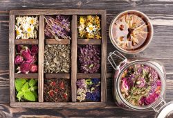 Kış Çayları: Kışın Sıcak Dokunuşu, Doğanın Şifası Medicinal herbs in a wooden box and a glass jar for herbal tea and tinctures. Herbal medicine, health, healing